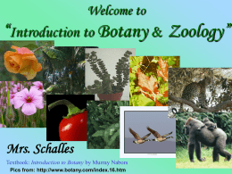 Welcome to “Introduction to Botany & Zoology”