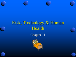 Risk, Toxicology & Human Health