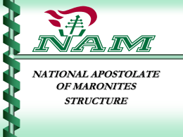 New NAM Board Member Introduction