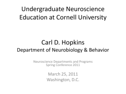 Undergraduate Neuroscience Education at Cornell University
