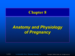 Welcome to Lowdermilk and Perry: Maternity and Women’s
