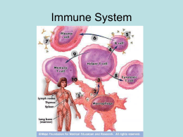 Immune System - T.R. Robinson High School