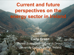Current and future perspectives on the energy sector in