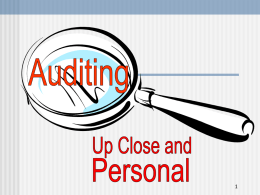 What is Auditing Anyway?