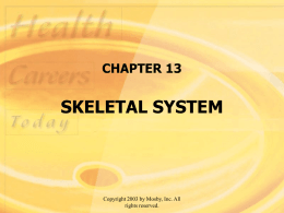 Disorders of the Skeletal System - HASPI