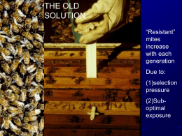 IPM Mite Control Thresholds - British Beekeepers Association