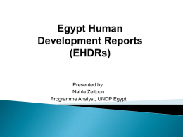Egypt Human Development Reports