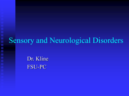 Sensory Disorders - Kelley Kline Phd