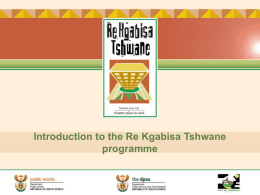 Tshwane Inner City Programme