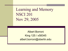 Learning and Memory NSCI 201 Nov 18, 2004