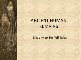 ANCIENT HUMAN REMAINS