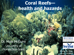 Coral Reefs - University of Florida