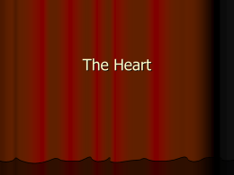 The Heart - LSH Student Resources