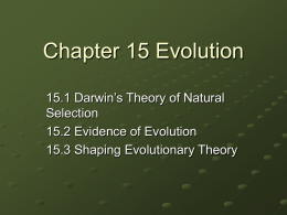 Chapter 15 Evolution - Lewiston Public Schools