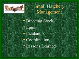 Small Hatchery Management - North Carolina Cooperative