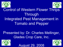 Western Flower Thrips - University of Florida