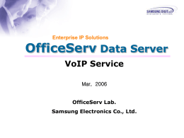 VoIP Service