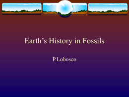 Earth’s History in Fossils