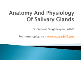Anatomy And Physiology Of Salivary Glands
