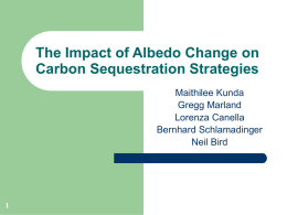 The Impact of Albedo Change on Carbon Sequestration Strategies