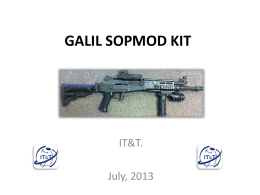 The Galil Rail for the M203 PI