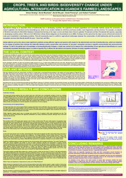 Poster Presentation