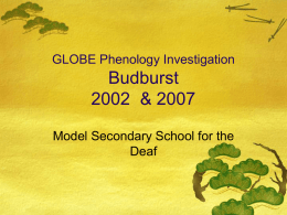 GLOBE Phenology Investigation Budburst