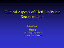 Surgical Aspects in the Management of Cleft Lip/Palate