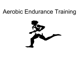 Aerobic Endurance Training Program