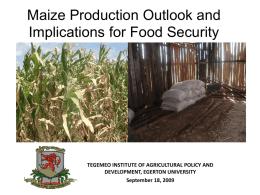 Maize Production Trends and Outlook in Kenya