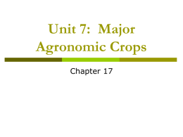 Unit 7: Major Agronomic Crops