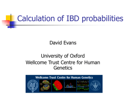 IBD Estimation