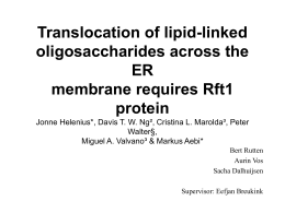 Translocation of lipid-linked oligosaccharides across the