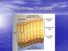 Membrane Transport - Miss Galegar's Biology Class