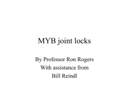 MYB joint locks - Midori Yama Budokai