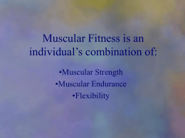 Muscular Fitness is an individual’s combination of: