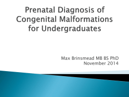 Prenatal Diagnosis of Congenital Malformations