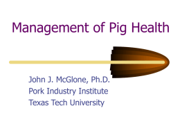 Pig Diseases in the USA