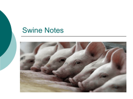 Swine Nots - Tomball FFA