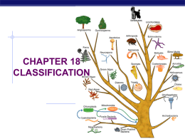 CHAPTER 18 CLASSIFICATION
