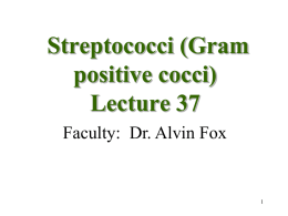 STREPTOCOCCI - Microbiology Book
