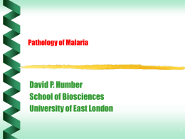 Pathology of Malaria - University of East London