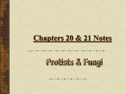 Chapters 15 & 16 Notes