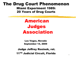 Miami-Dade Adult Drug Court - American Judges Association