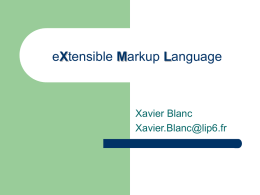 eXtended Markup Language