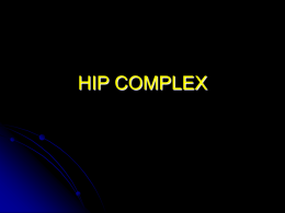 HIP COMPLEX - University of Kansas Medical Center