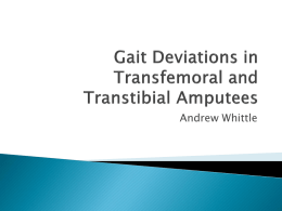 Gait Deviations in Transfemoral and Transtibial Amputees