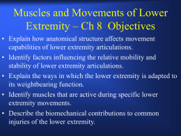 Lower Extremit Structure and Function
