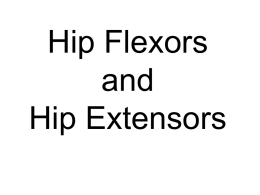 Hip Flexors - National Personal Training Institute of Columbus