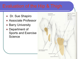 Evaluation of the Hip & Thigh